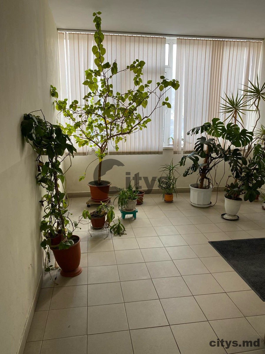 Chirie-1 комнатная квартира, 50м², Chișinău, Botanica, bd. Decebal photo 3