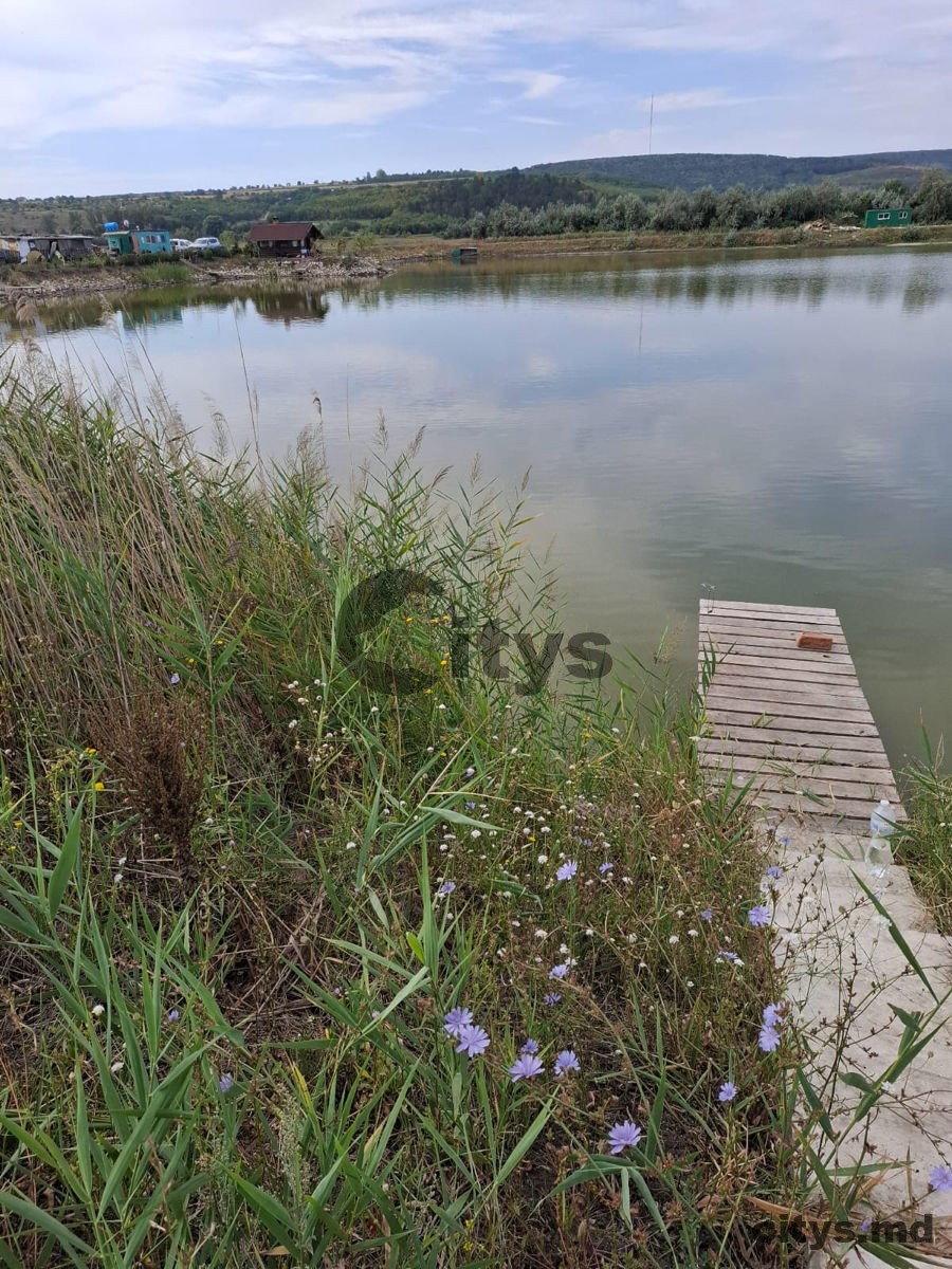 Teren  agricol, Străşeni photo 3