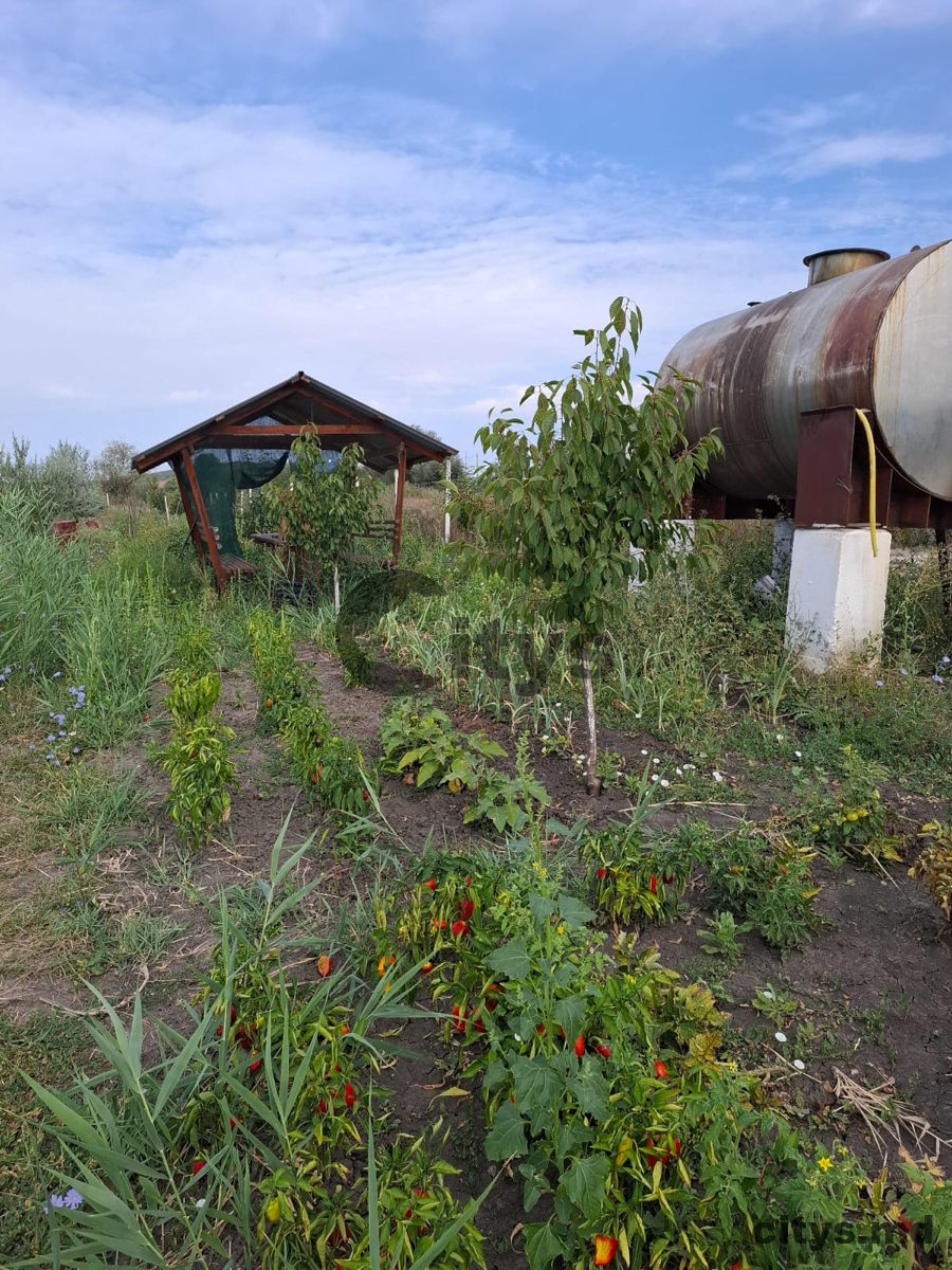 Teren  agricol, Străşeni photo 5