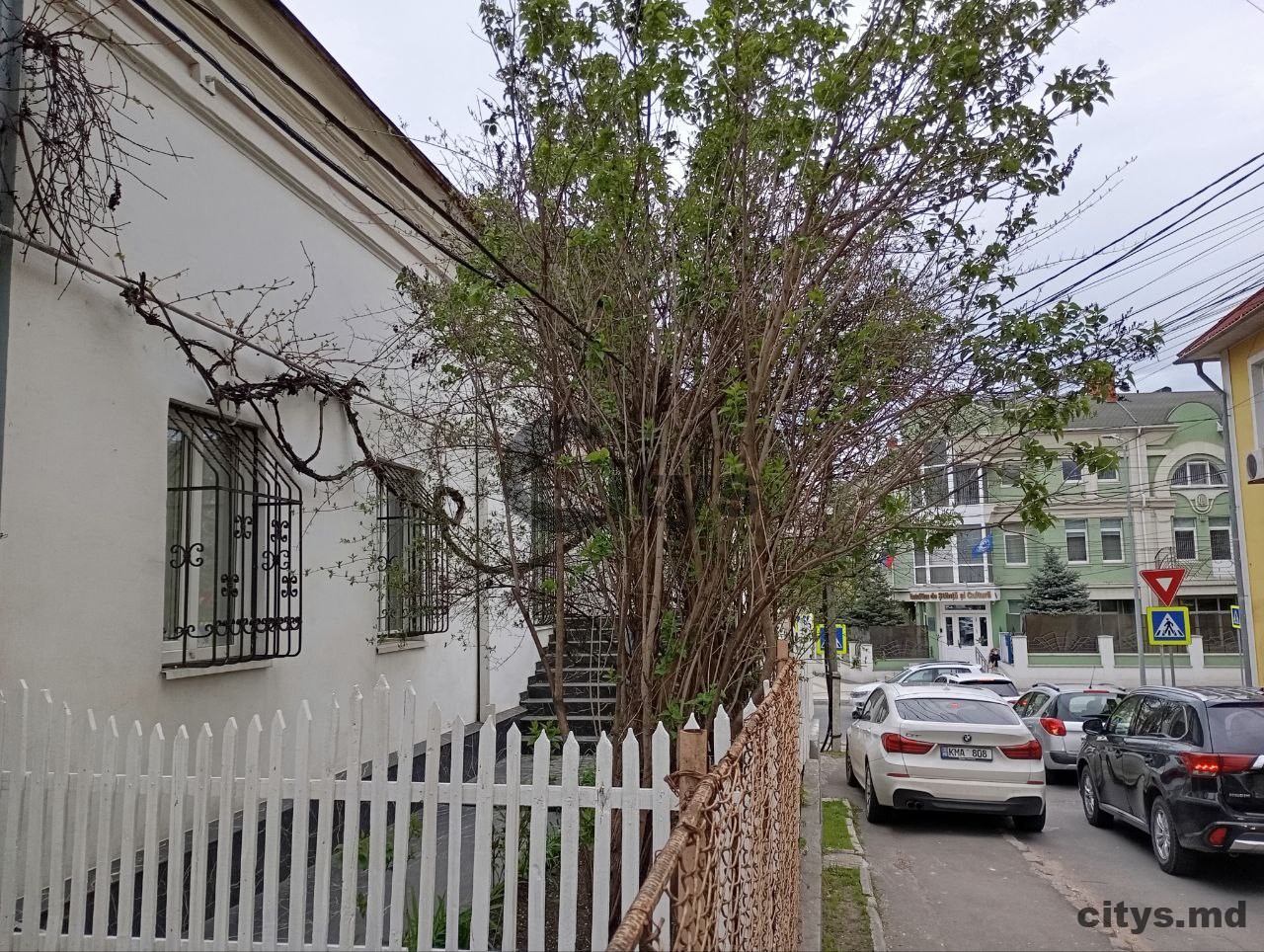Универсальное, 100м², Еминеску photo 2