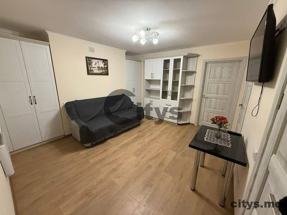 Apartament cu 1 cameră, 30m², Михаил Садовяну photo 0