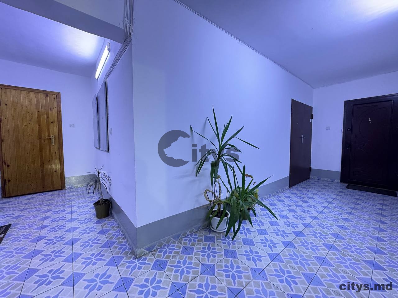 Apartament cu 2 camere, 56m², Л. Деляну photo 8