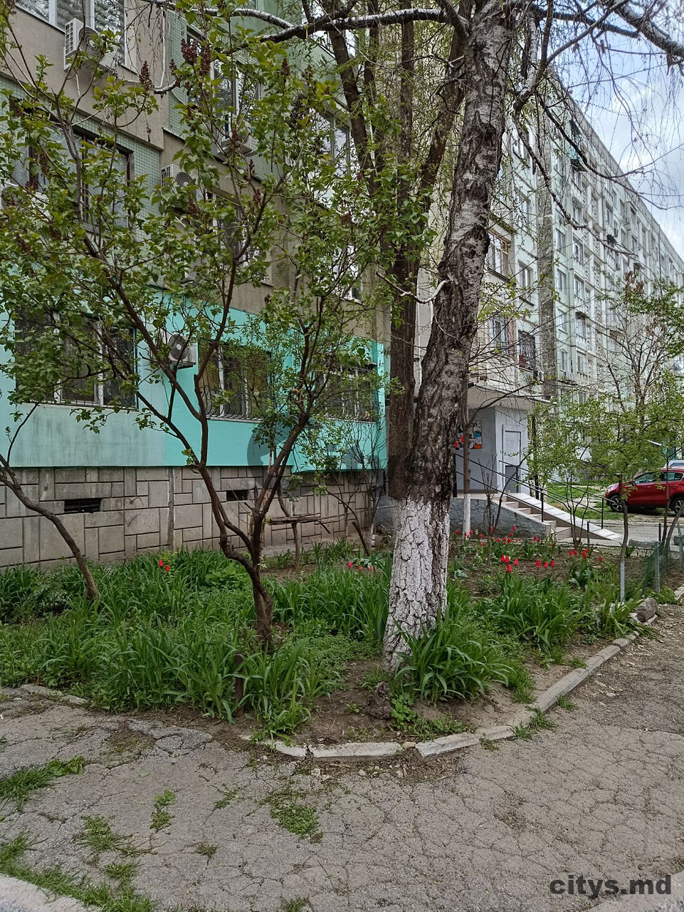 Apartament cu 3 camere, 72m², Str. Cahul photo 5