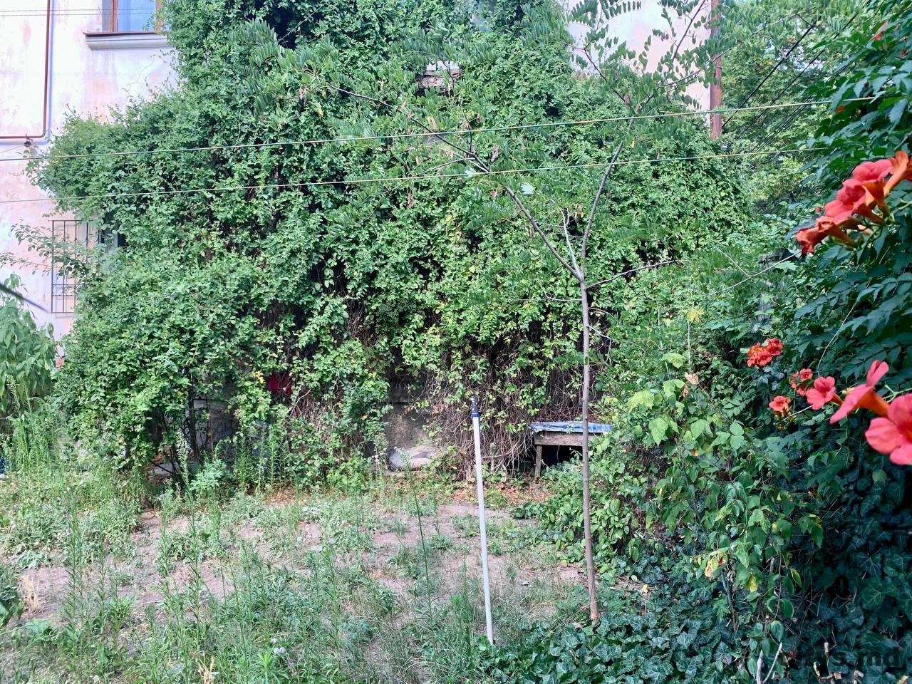 2-х комнатная квартира, 54м², Centru, Zamfir Arbore photo 25