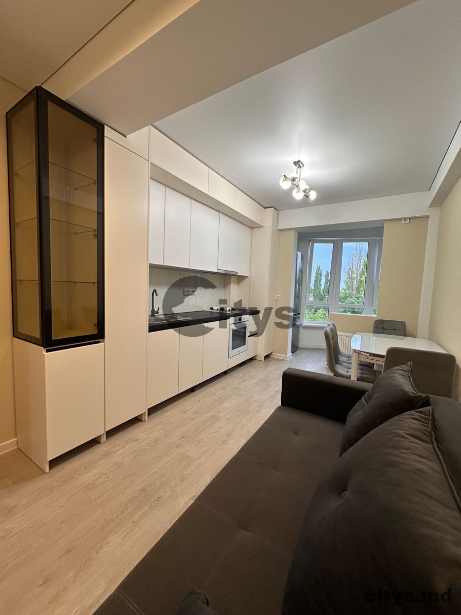 сдается-Apartament cu 1 cameră, 50m², ботаника,Nicolae Titulescu photo 1