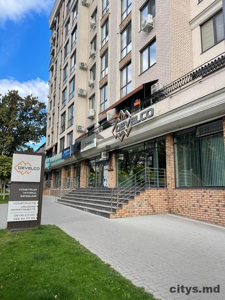Apartament cu 1 cameră, 45m², Buiucani, Grigore Alexandrescu photo 13