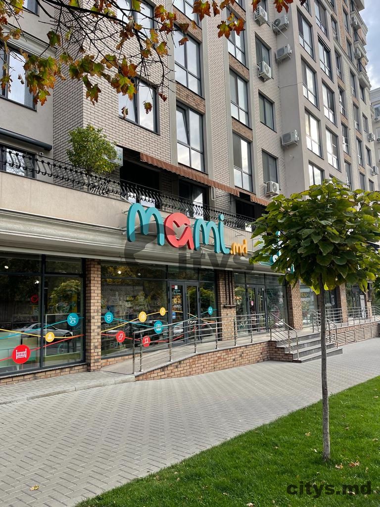 Apartament cu 1 cameră, 45m², Buiucani, Grigore Alexandrescu photo 8
