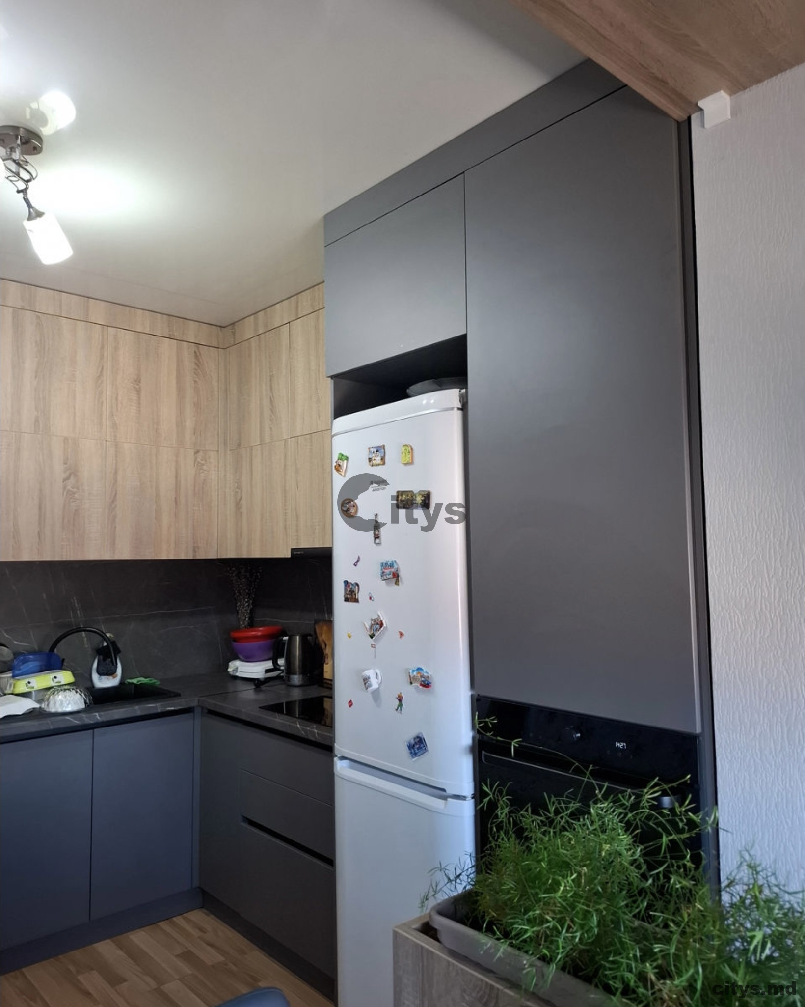 Сдается-1 комнатная квартира, 57м²,Ботаника, Sarmizegetusa photo 2