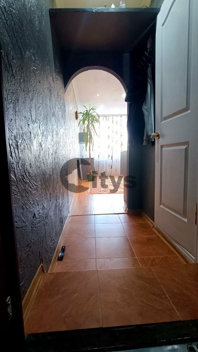 Малосемейка, 19м², Pelivan photo 4