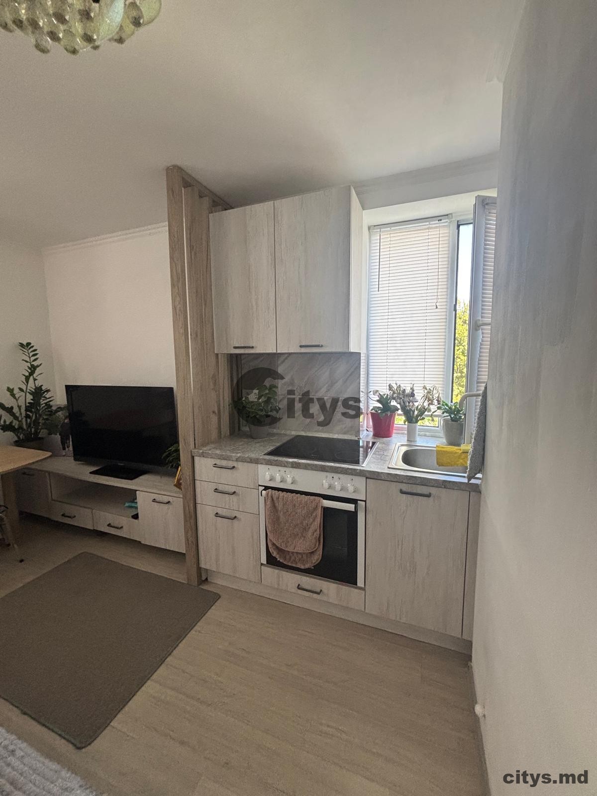 Garsonieră, 23m², M.Dragan photo 0