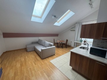 Chirie-Apartament cu 1 cameră, 44m², Chișinău, Botanica, str. Trandafirilor photo