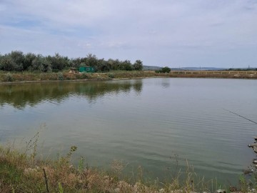 Teren  agricol, Străşeni photo