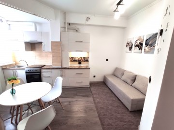 Apartament cu 1 cameră, 46m², Nicolae Testemiţanu photo