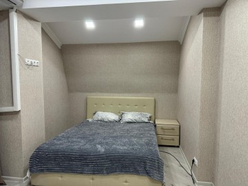 Chirie-Apartament cu 1 cameră, 49m², Centru, Grigore Ureche photo