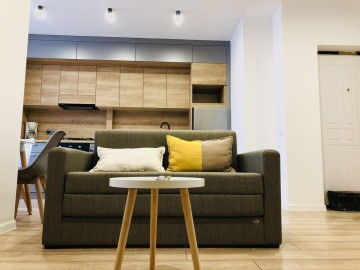 chirie-1 комнатная квартира, Centru 45м², Армянская photo