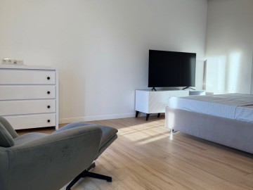 Apartament cu 1 cameră, 50m², str. Alecu Russo photo