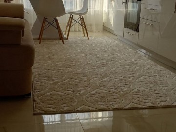 1 комнатная квартира, 50м², Рышкановка, Alecu Russo photo