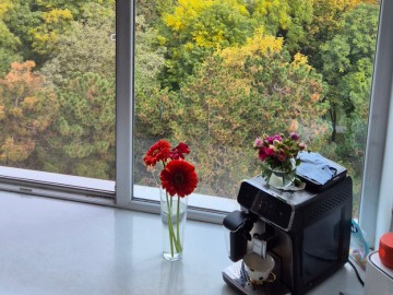 Apartament cu 3 camere, 80m², Decebal photo