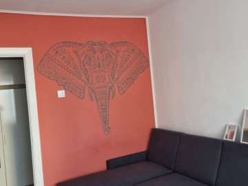 Chirie-Apartament cu 1 cameră, 40m², Ciocana,Ginta Latină photo