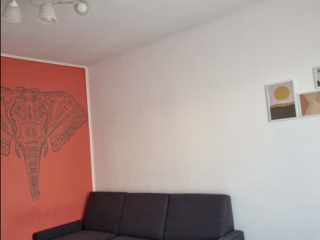 Chirie-Apartament cu 1 cameră, 40m², Ciocana,Ginta Latină photo
