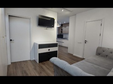 Chirie-Apartament cu 1 cameră, 45m²,Buiucani, Nicolae Costin photo