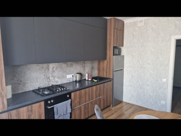 Chirie-Apartament cu 1 cameră, 47m², Centru,Avram Iancu photo