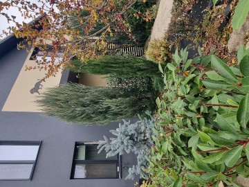 Casă cu 2 nivele, 420m², Будешть photo
