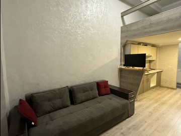 Se vinde-Apartament cu 1 cameră, 24m², Botanica,Bacioii Noi photo