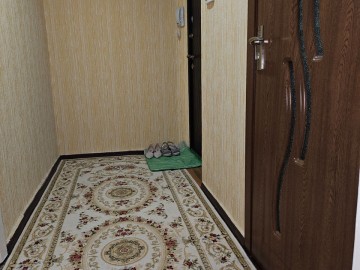 Apartament cu 1 cameră, 38m², Florica Nita photo