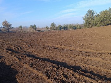 Teren  agricol, test photo