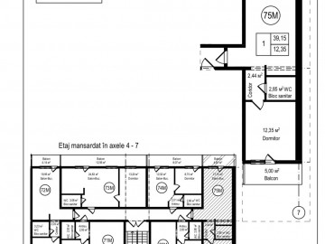 1 комнатная квартира, 35м²,  Sculeni, Каля Ешилор photo